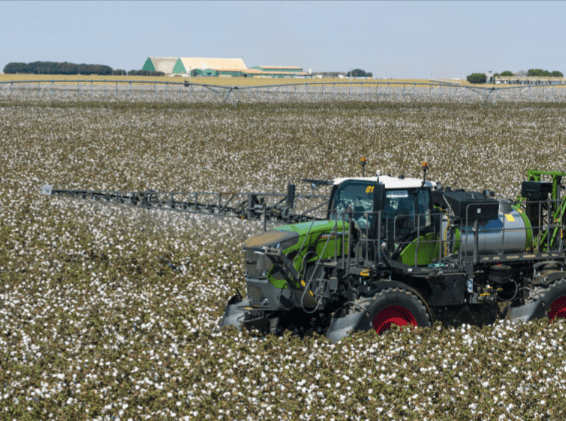 Bicudo-do-algodoeiro: pulverização é etapa estratégica no combate à praga que pode comprometer mais de 70% da produção da fibra